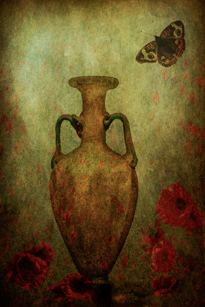 Poppies for Remembrance by Chris Seaton